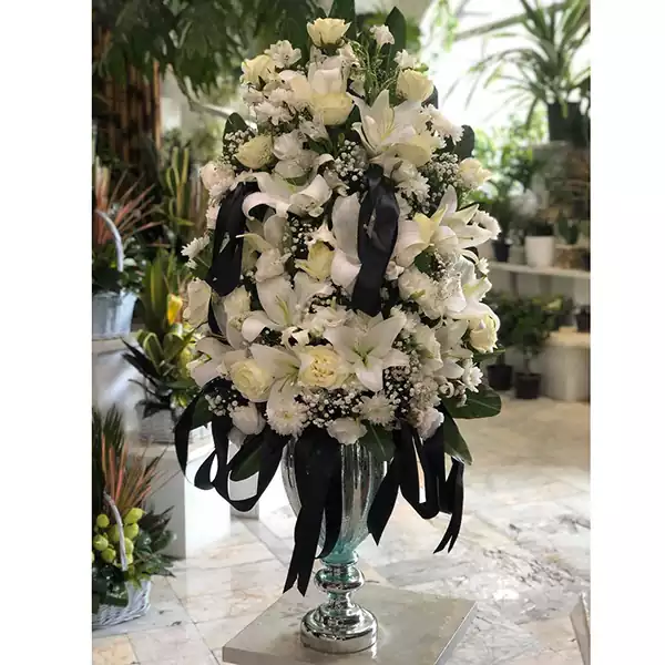 WhatsApp Image 2025-08-07 at 3.55.52 PM (1)