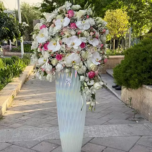 WhatsApp Image 2025-08-07 at 3.55.52 PM (5)