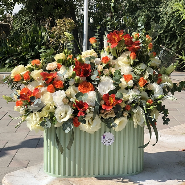 باکس سبز پاییز